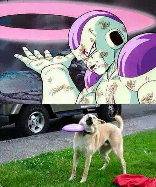 Pero mirate estas imagenes de Humor papa