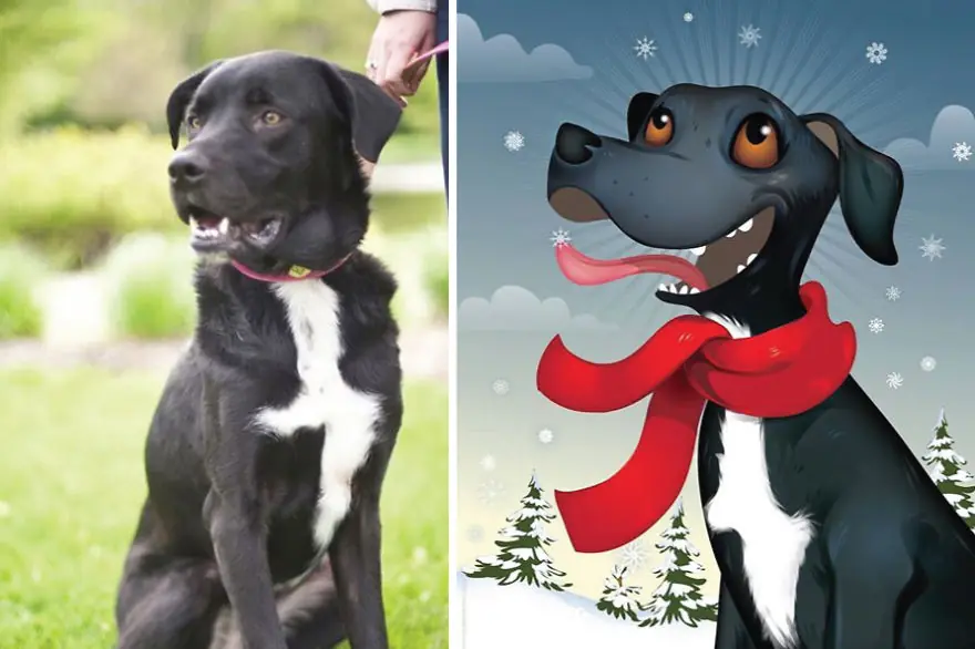 Artista dibuja mascotas según la descripción de los dueños