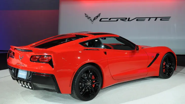 stingray