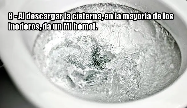 datos curiosos
