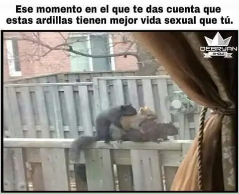 redes