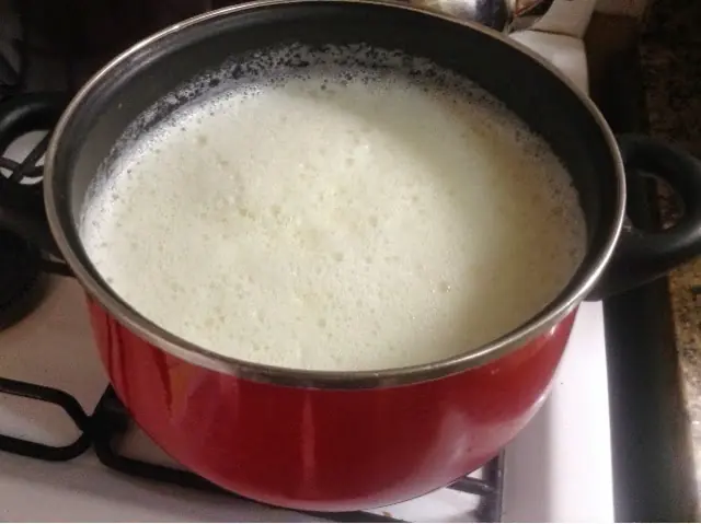 recetas de gourmet