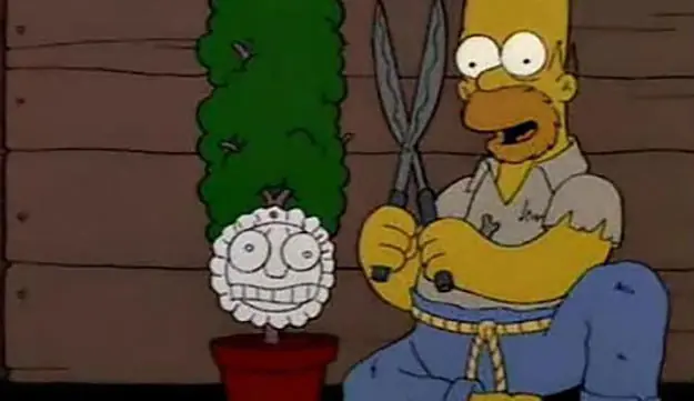 vida