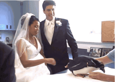 Te saco 3 puntitos por hacerte reir papu