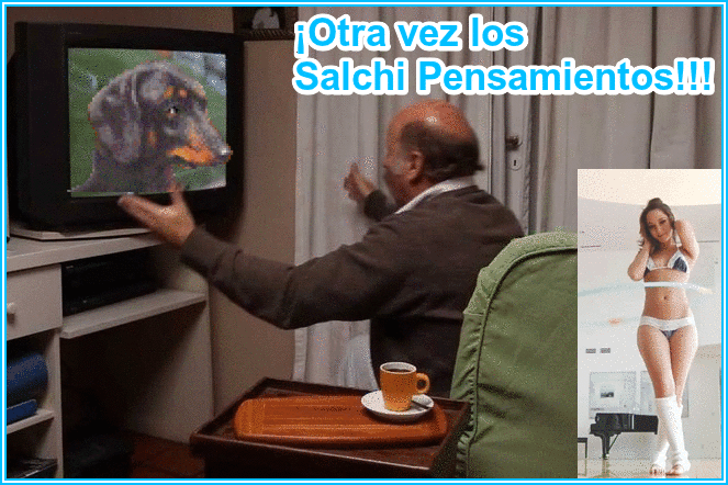 perros salchicha