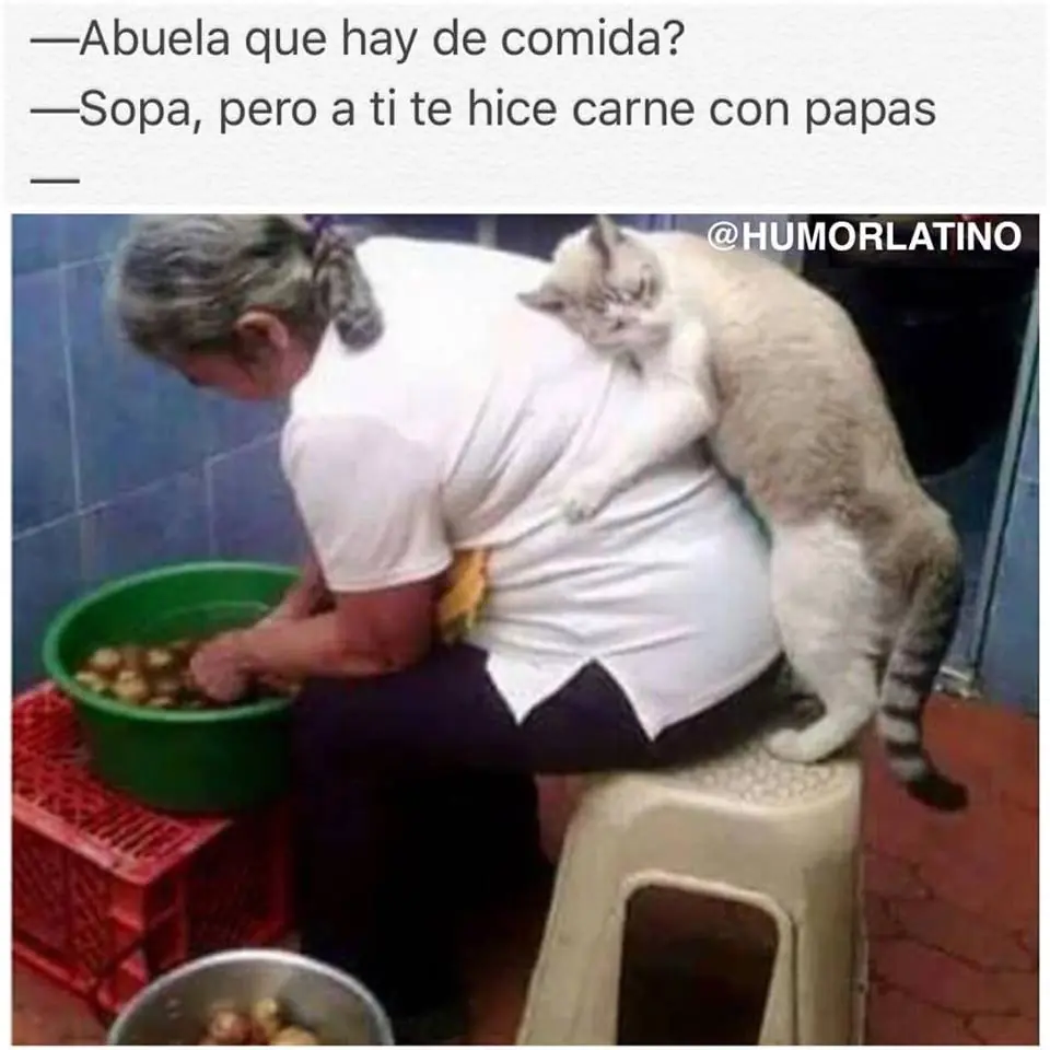 humor