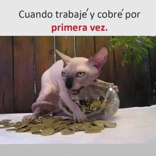 Lo mejor del humor mexicano parte 64