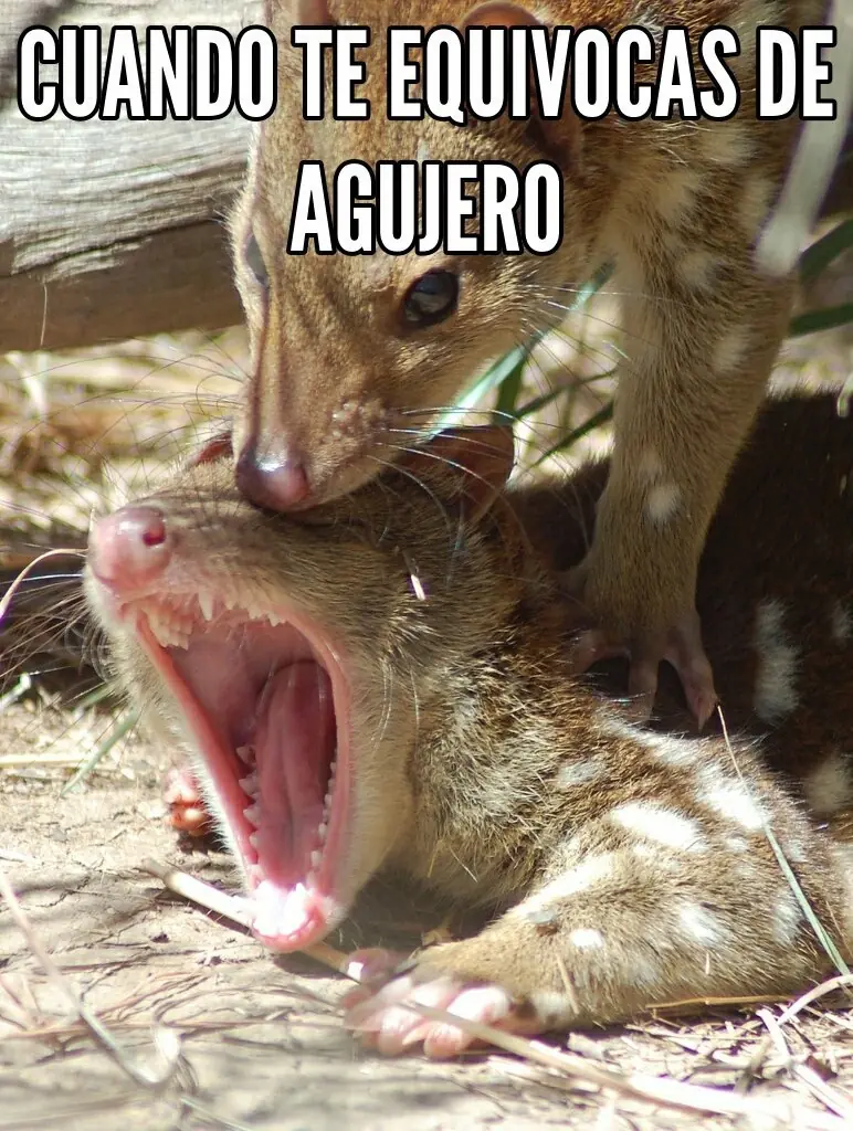 Lo mejor del humor mexicano parte 64
