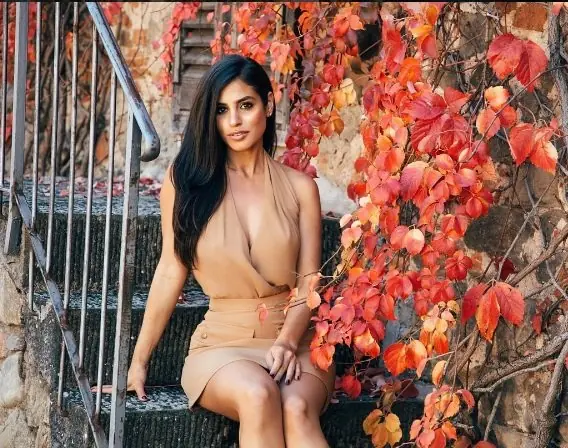 fotos