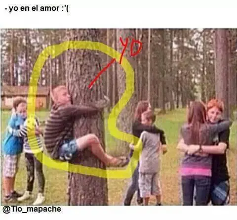nenes