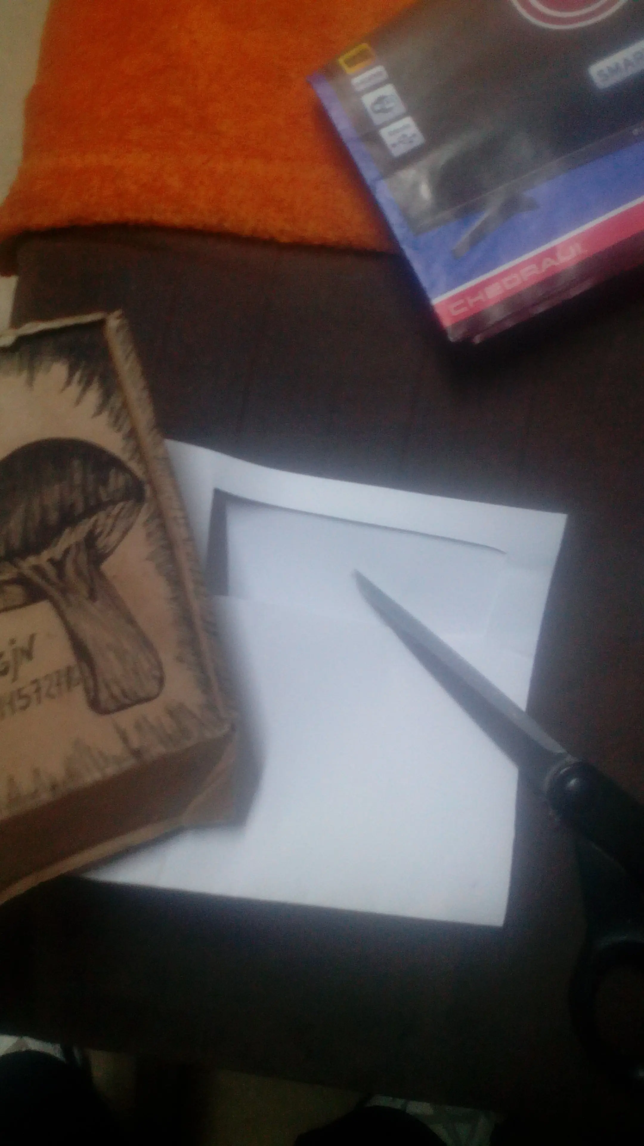 carta romanticas