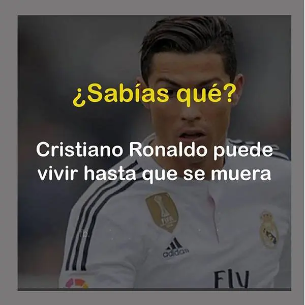 datos graciosos