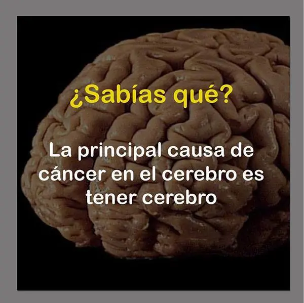 datos que debes saber
