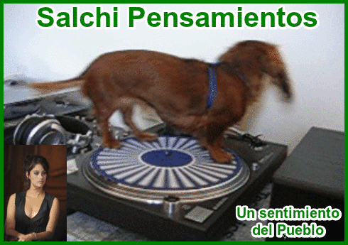 Salchi Pensamientos Dachshund Libro 5 sección Argentina J