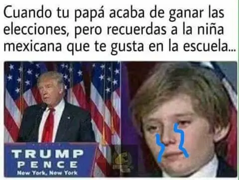 fotos