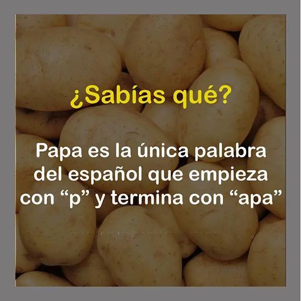 datos que debes saber