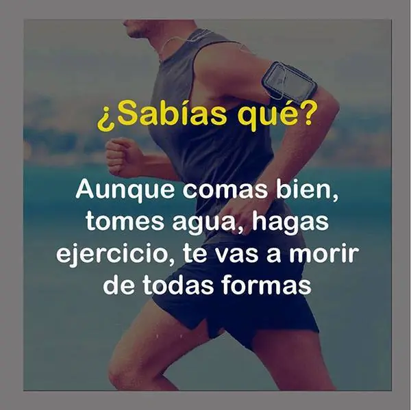 datos que parecen tontos pero son reales