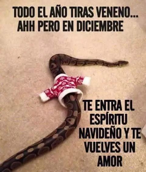 Humor para la Noche Fría