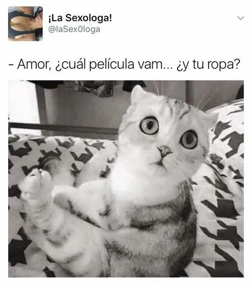 Reir