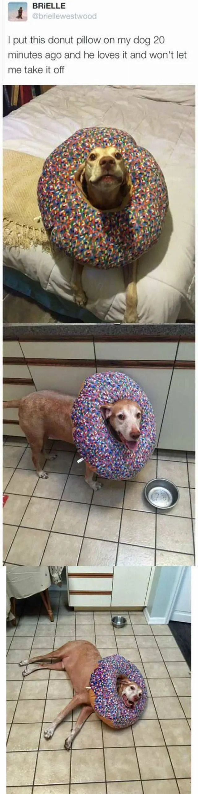 imagenes graciosas