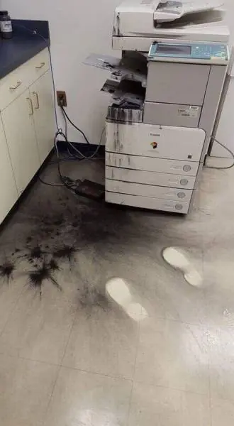 imagenes wtf