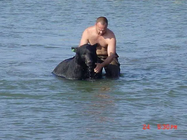 Vio un oso en peligro en el agua, hizo es la cosa más ALFA