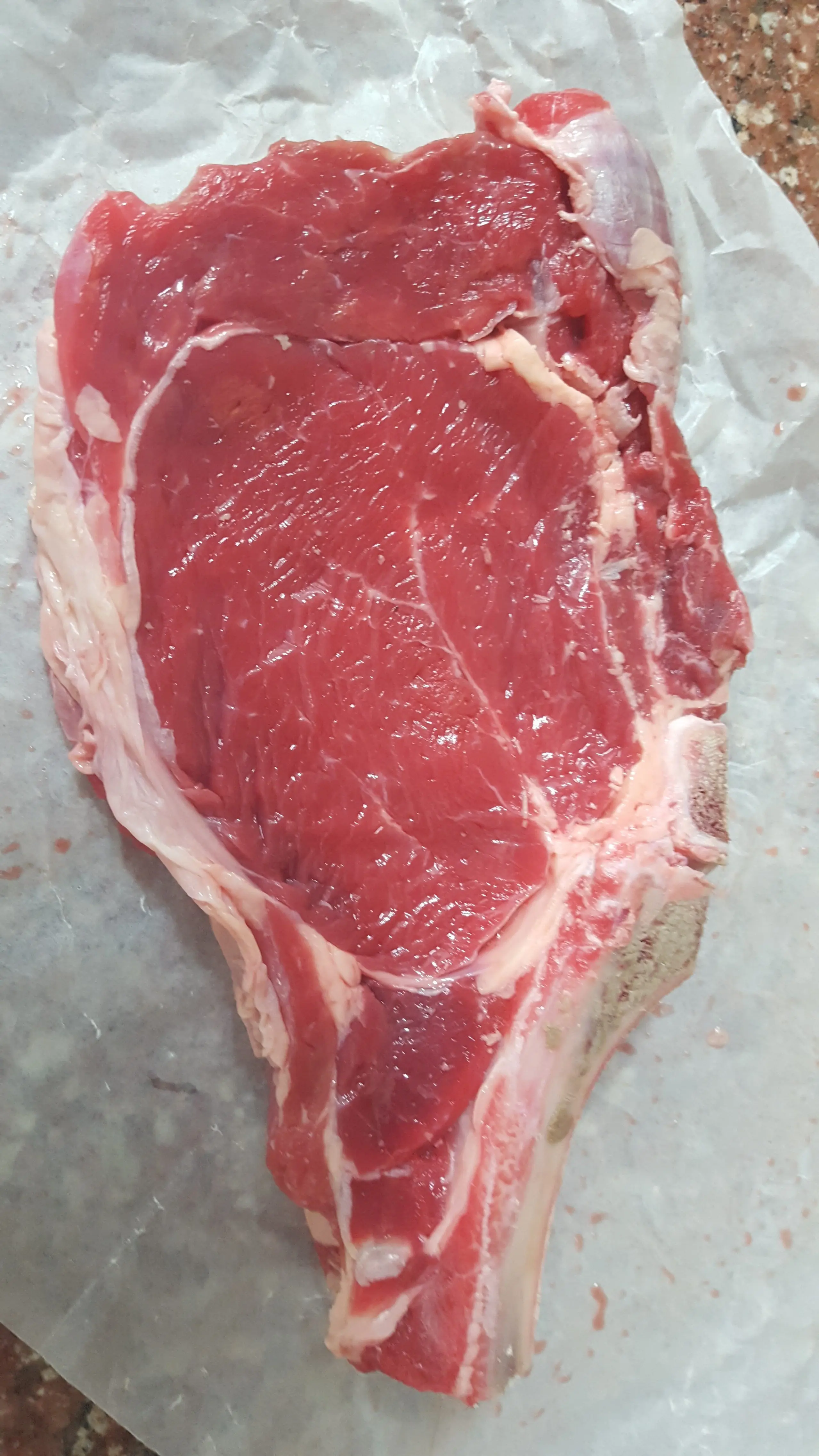 carne carne