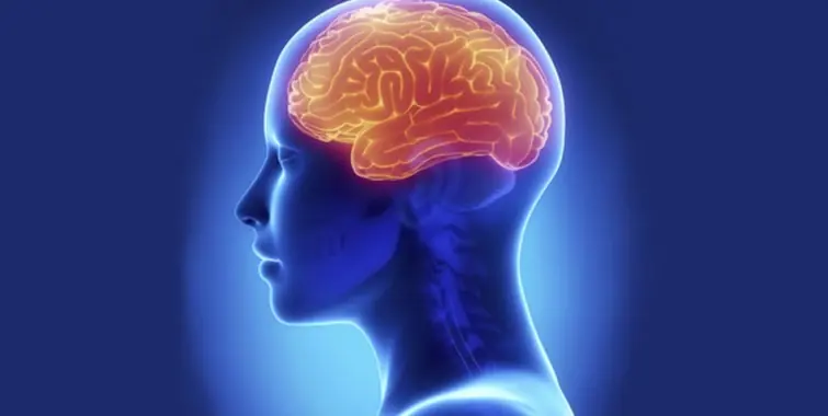 Las sorprendentes maneras de manipular el cerebro humano