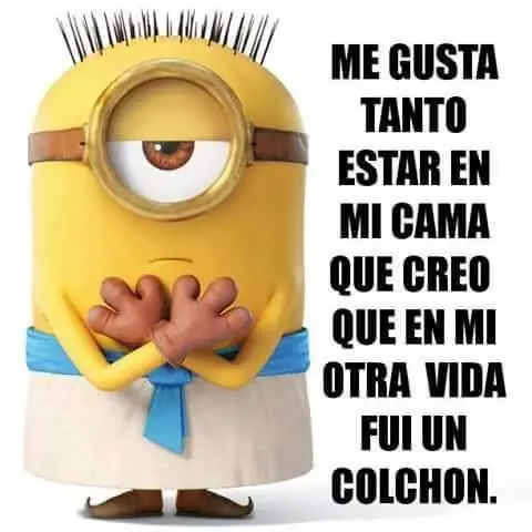 entra y reite