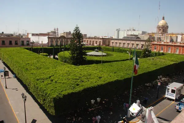 celaya