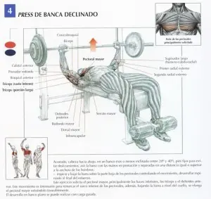Rutina para el GYM -DÍA 1- Quedá como el comandante!