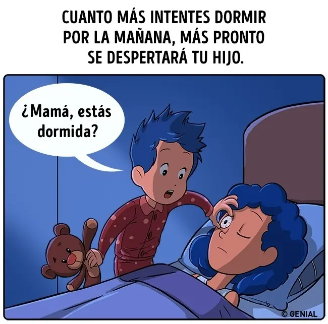 leyes