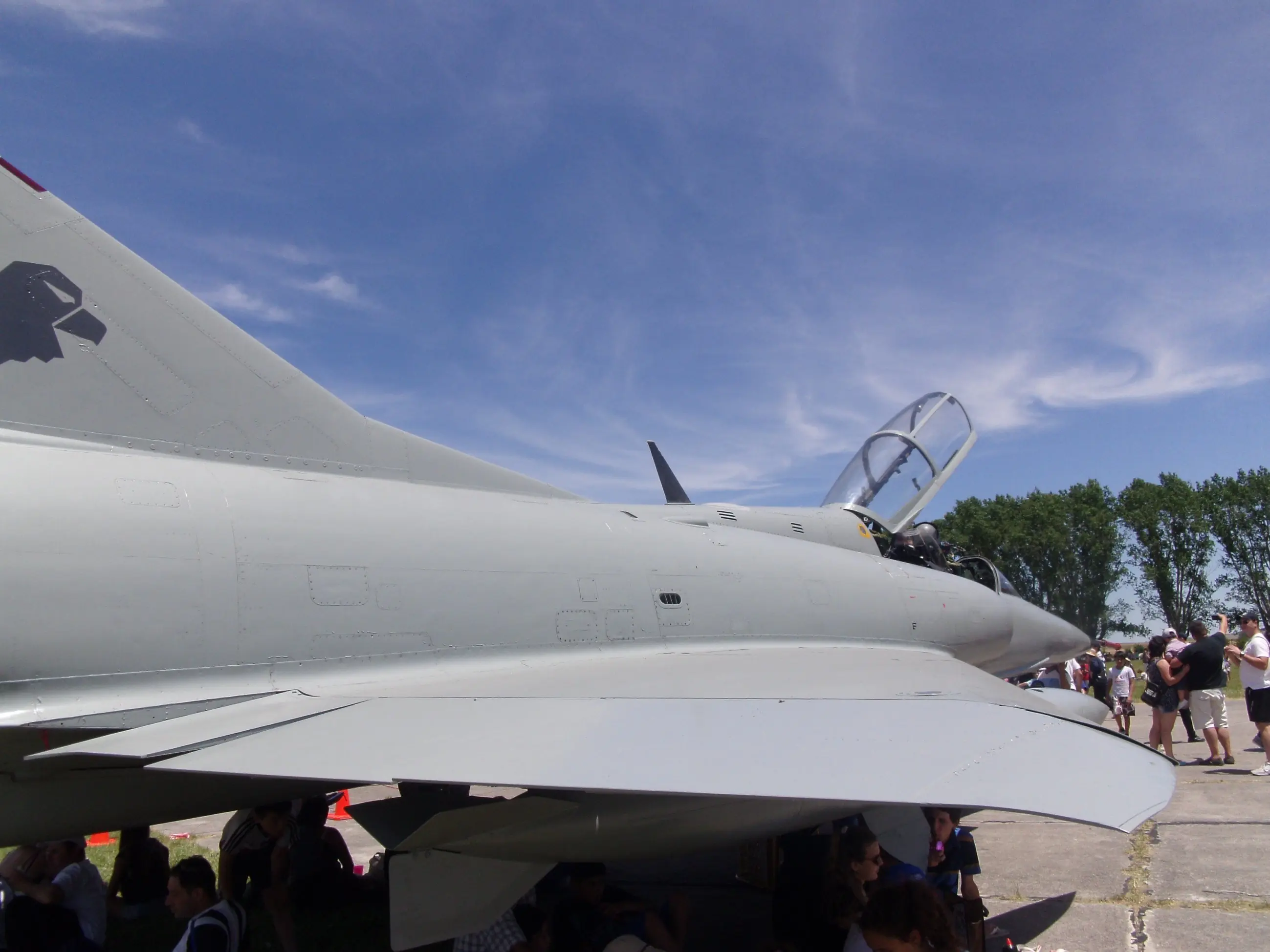 aviones  argentinos