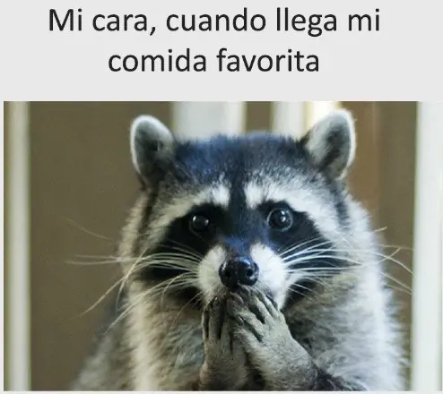 Hunor