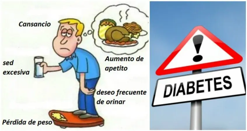 como controlar la diabetes tipo 2 como controlar la diabetes tipo 2