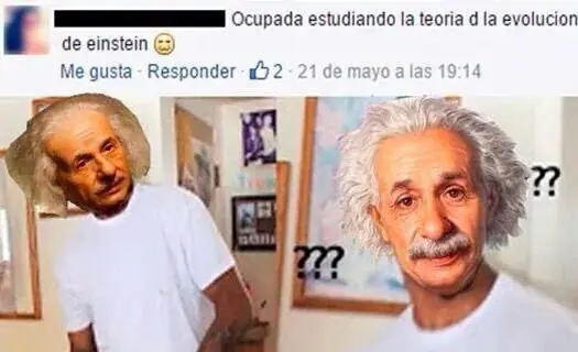 rueda