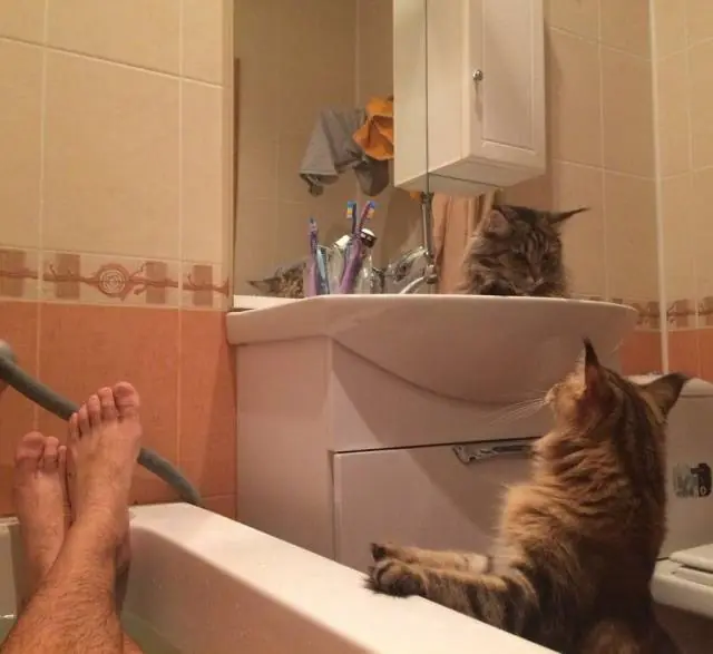 imagenes para animar la tarde
