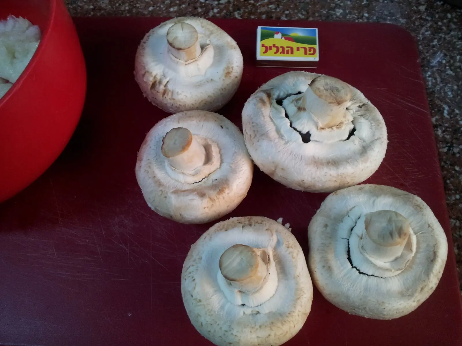 hongos sanos
