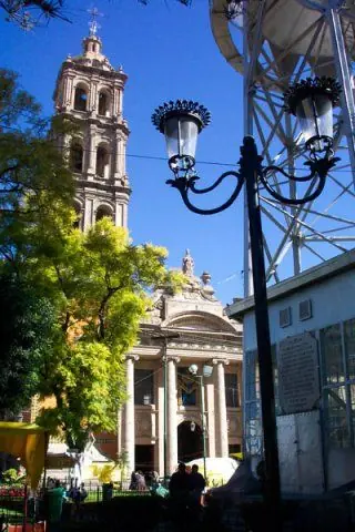 celaya