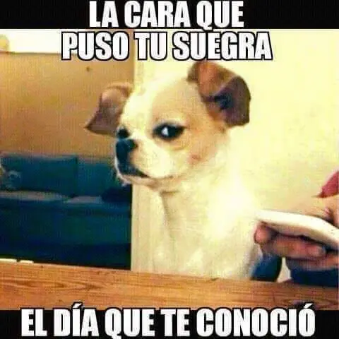 Humor Megapost
