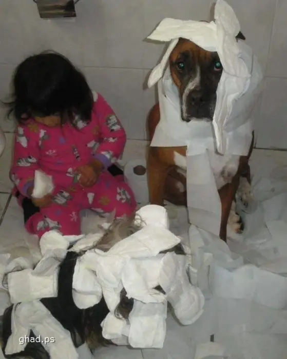 agradeceras
