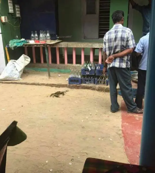 imagenes para animar la tarde