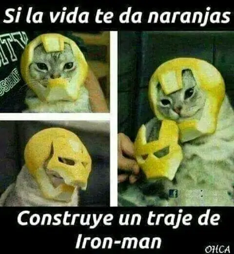 Desvelados