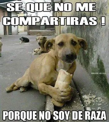 imagenenes