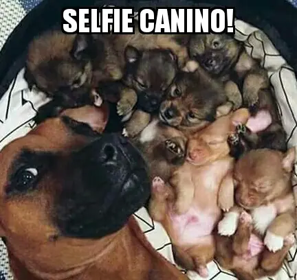 imagenes