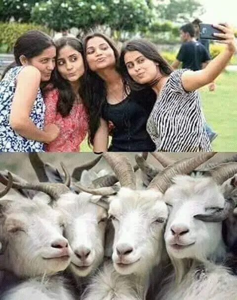 humor