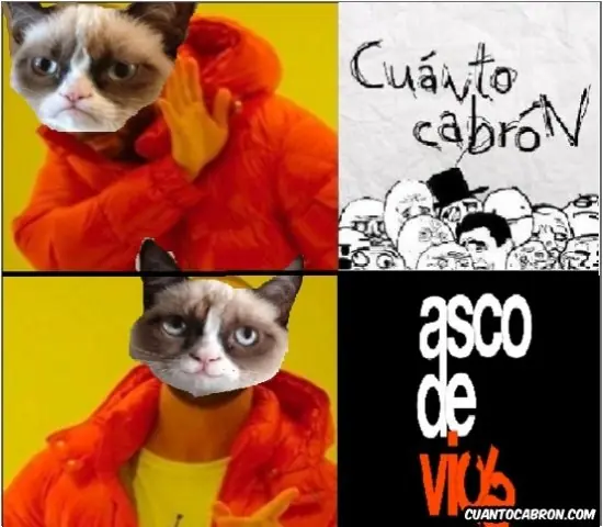 risa