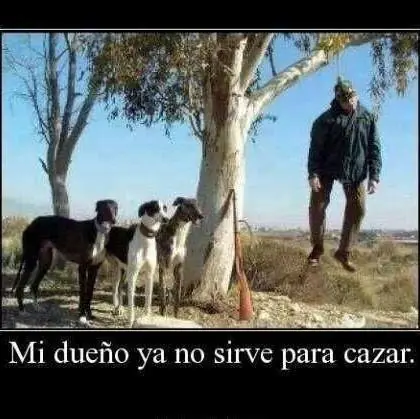 imagenes