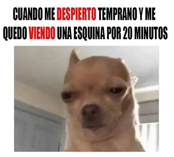 meme