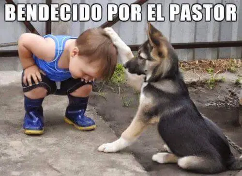 postazo